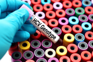 HCV Genotypes Table