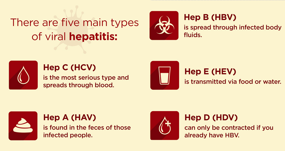 Different Types of Hepatitis