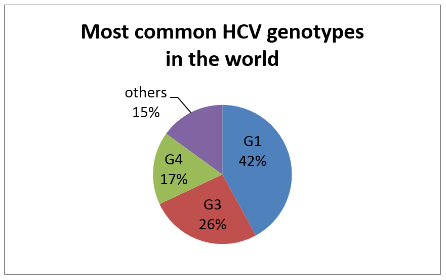 most-common-HCV-genotypes