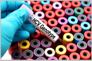 Hepatitis C Genotypes