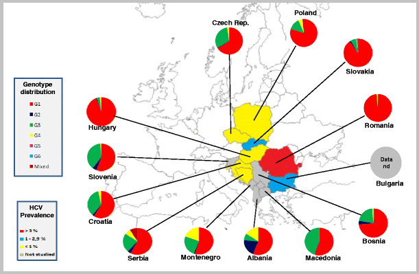 Hepatitis C Genotype 1b in Romania