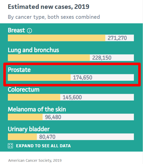 Prostate cancer cases in America 2019