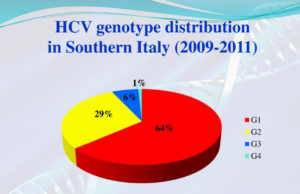 HCV Genotype in Italy